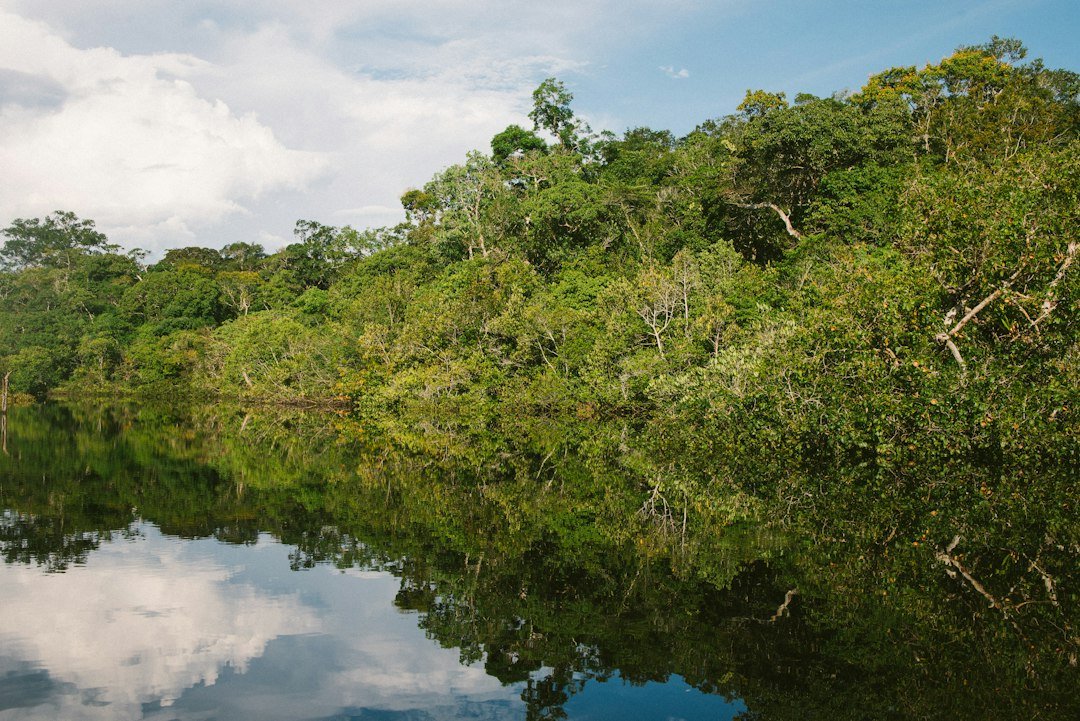 Clima tropical do Norte do Brasil - Foto: Nathalia Segato / Unsplash